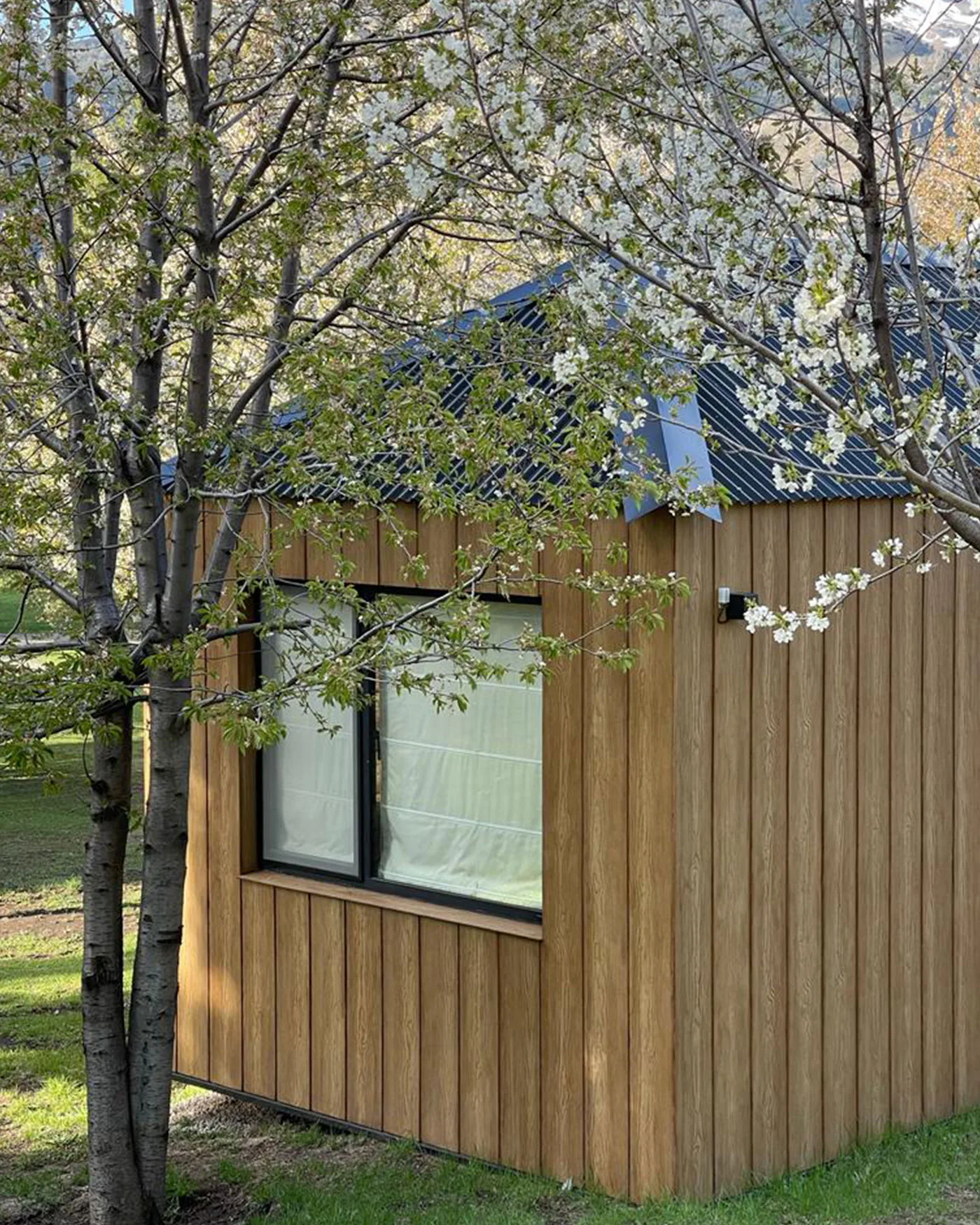 Tiny Houses